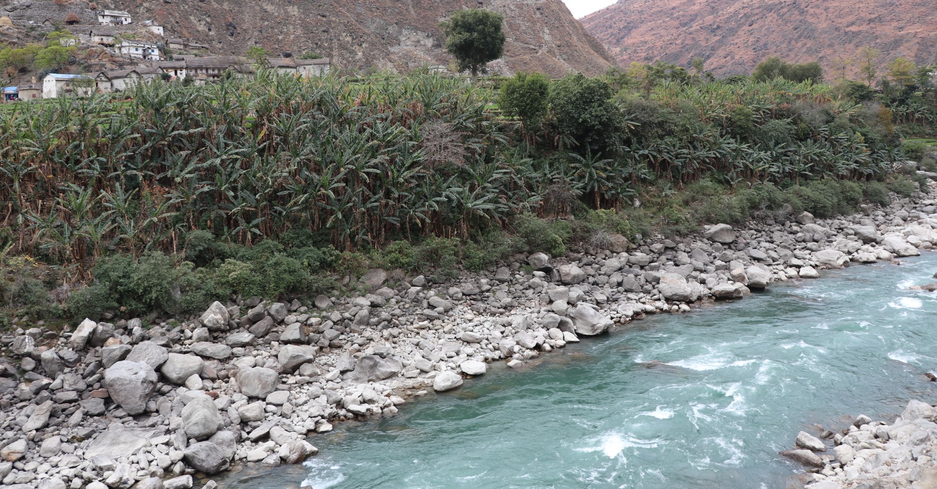 Slider Image: कर्णाली नदीको किनारामा स्थानीय केरा